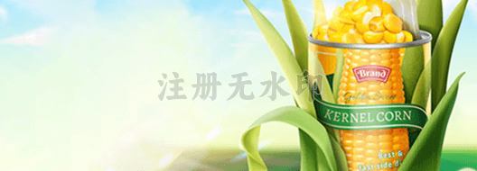 vendor banner